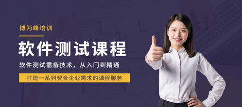 南京軟件測(cè)試與開發(fā)培訓(xùn)指南 機(jī)構(gòu)選擇與行業(yè)展望
